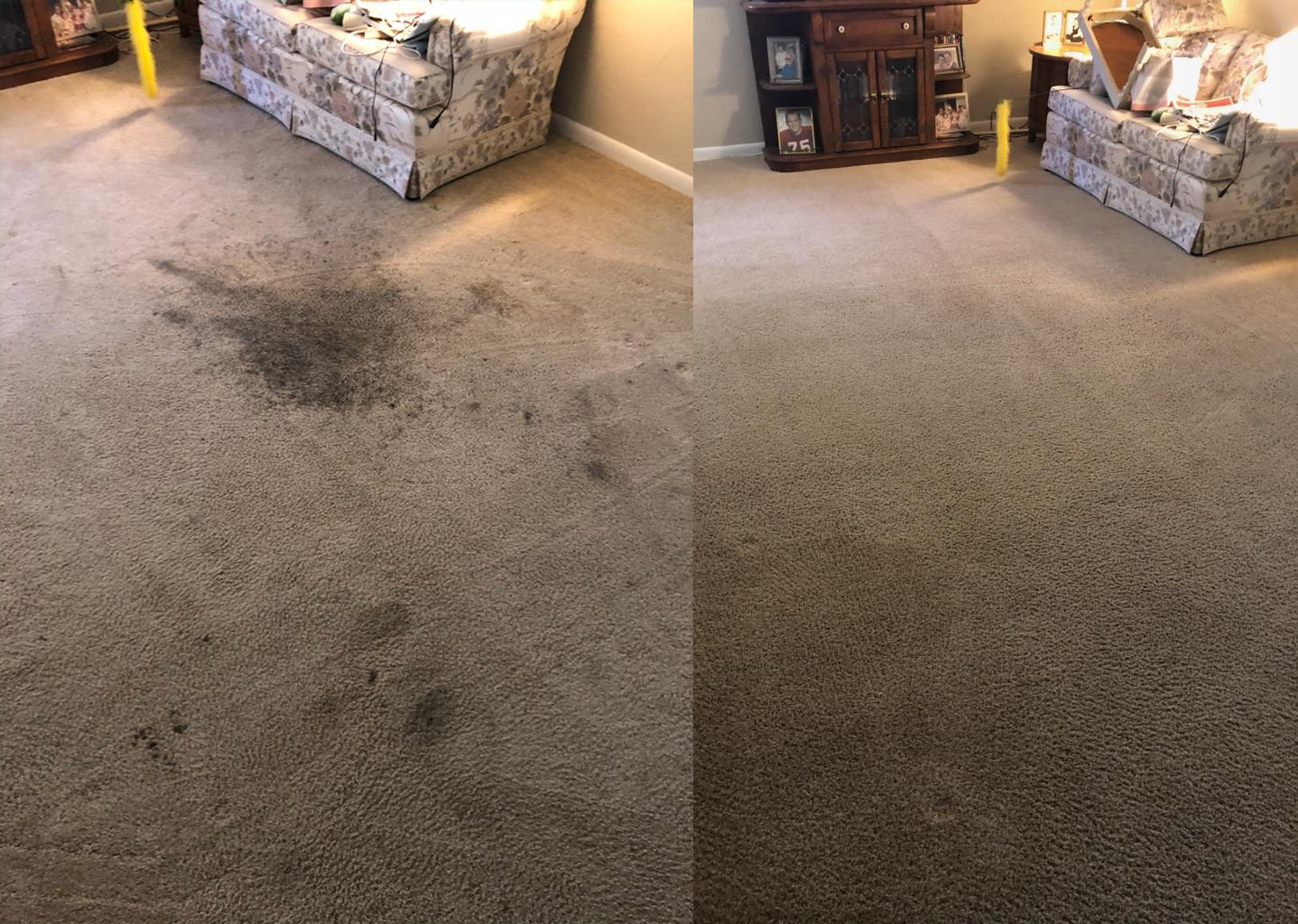 Professional Stain Treatment - Before and After